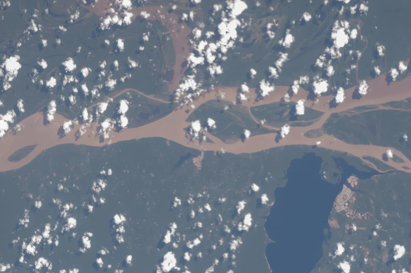 Fotografia de satélite do rio Solimões barrento cortando a floresta, com o lago Tefé escuro abaixo dele